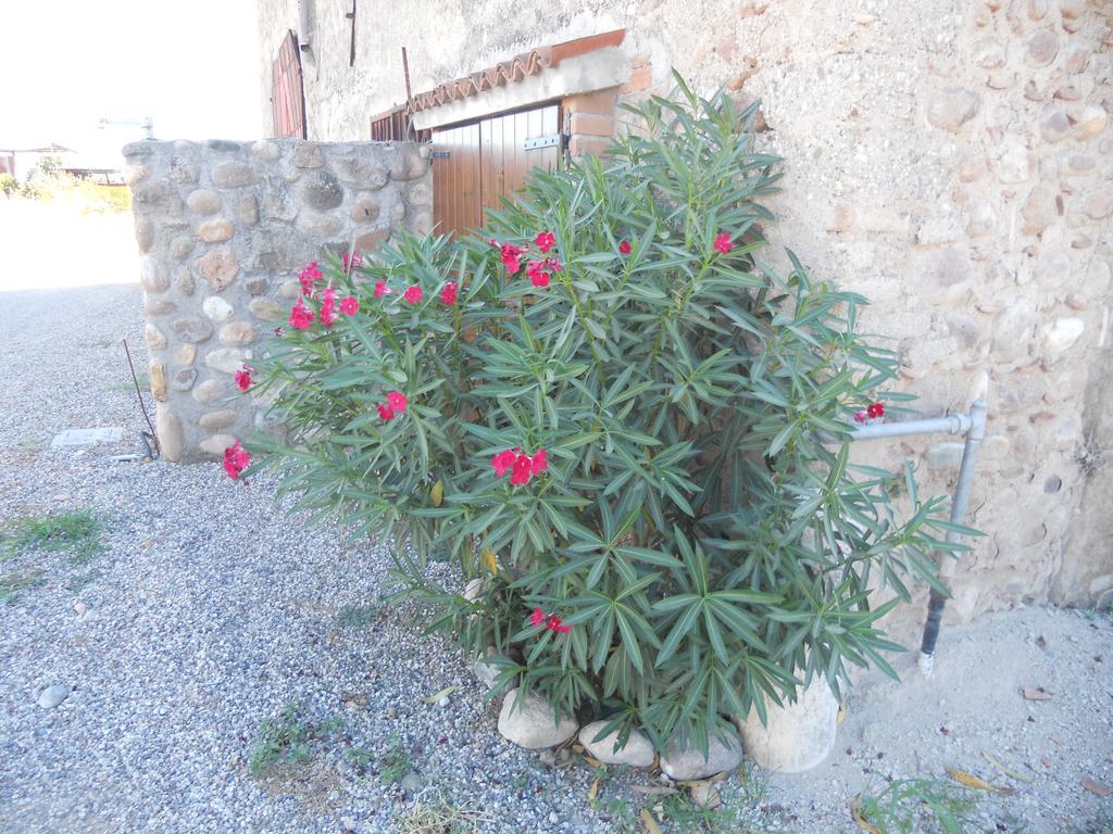 Agriturismo Le Mura Del Gherlo Villa Valeggio sul Mincio Luaran gambar